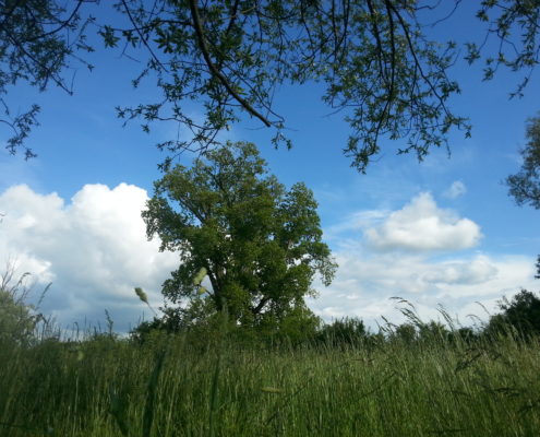 20140513_170328